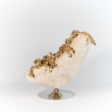LEO Chair sur paulex by APcollection srl - view 7