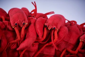 Lobster chair by APcollection srl - view 9