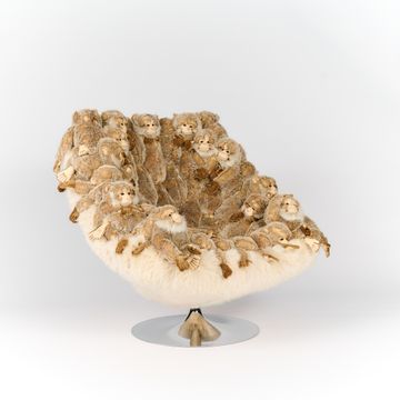 Macaco chair by APcollection srl - view 2