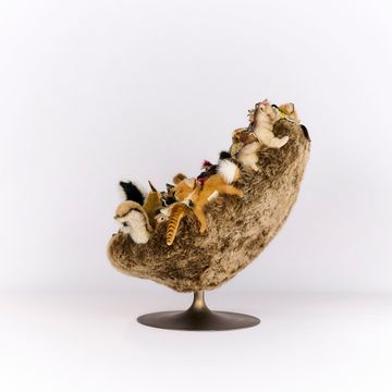 "Promenons-nous dans les bois" CHAIR by APcollection srl - view 8