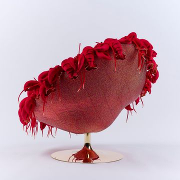 Lobster chair by APcollection srl - view 5