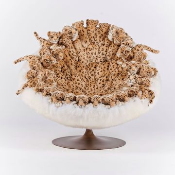 Leo chair by APcollection srl - view 8