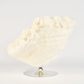 POLAR CHAIR by APcollection srl - view 7