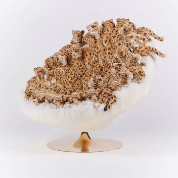 Leo chair by APcollection srl - view 2