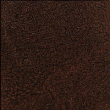Cover for Julius chairs leather black by Lambert - view 6