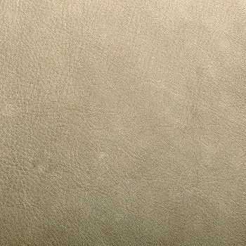 Ernest Cocktail chair with white cushion by Lambert - view 4