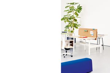 Apollo Height Adjustable by Manerba - view 4