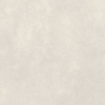 Arctic Ceramic by Amtico - view 7