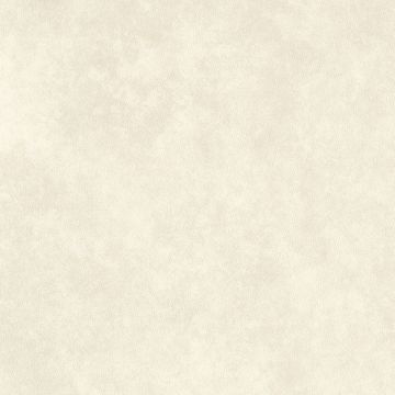 Dew Stone by Amtico - view 9