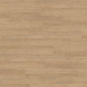 Treated Oak by Amtico - view 8