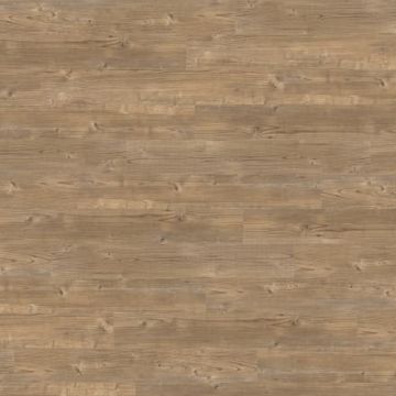 Dry Cedar by Amtico - view 9
