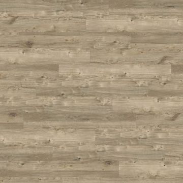 Sun Bleached Oak by Amtico - view 7