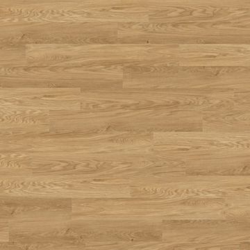 Linden Oak by Amtico - view 4