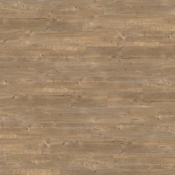 Dry Cedar by Amtico - view 8