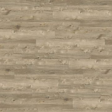 Sun Bleached Oak by Amtico - view 6