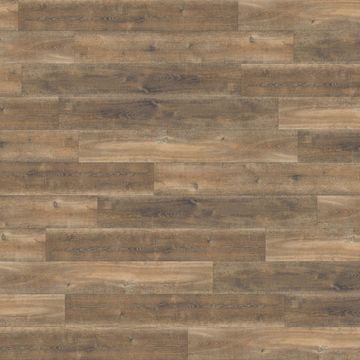 Aged Oak by Amtico - view 4