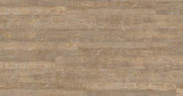 Bleached Elm by Amtico