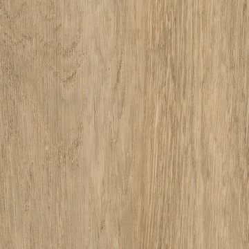 Wheat Oak by Amtico - view 2