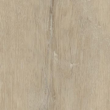 Buckingham Oak by Amtico - view 3