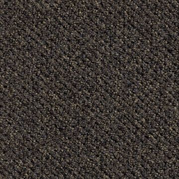 Ruffian Tan Tetons by Amtico - view 2