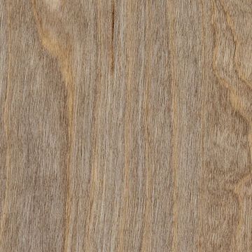Bleached Elm by Amtico - view 2
