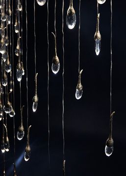 seed cloud installation curve by OCHRE - view 2