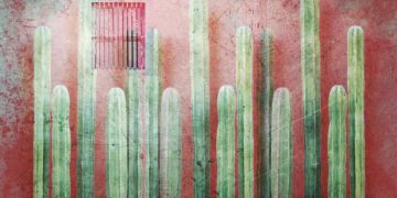 Cactus by Officinarkitettura® - view 2
