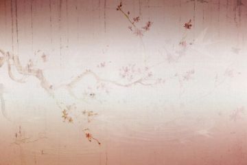 Pink Blossom by Officinarkitettura® - view 3