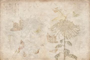 Japanese Garden by Officinarkitettura® - view 3