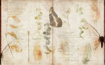 Nature Book by Officinarkitettura® - view 3