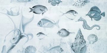 Aquarium Blu by Officinarkitettura® - view 2