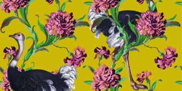 Ostriches Yellow by Officinarkitettura® - view 2