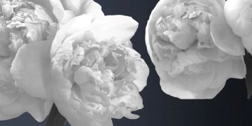 Instant God by Officinarkitettura® - view 2