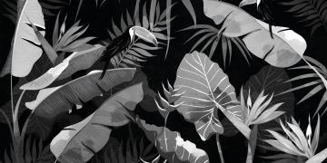 Jungle dream B&W by Officinarkitettura® - view 2