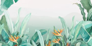 Rain forest Color by Officinarkitettura® - view 2