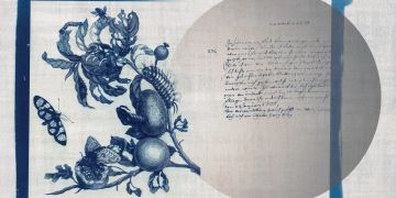 Merianin 1 by Officinarkitettura® - view 2
