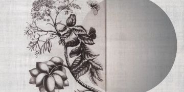 Merianin 5 by Officinarkitettura® - view 2