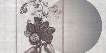 Merianin 7 by Officinarkitettura® - view 2