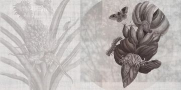 Merianin 8 by Officinarkitettura® - view 2