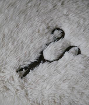 Posh by Palazzo Fabric - view 4