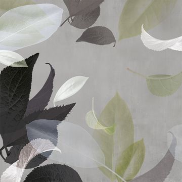 Leaves_1 by Adriani e Rossi edizioni