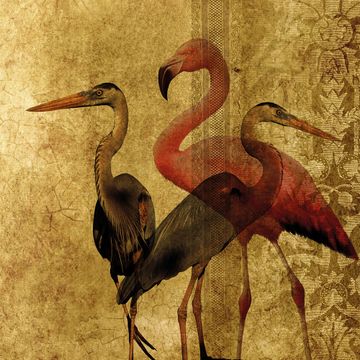 Camargue_gold by Adriani e Rossi edizioni