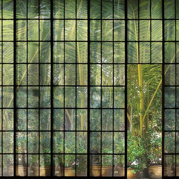 Green Wall by Adriani e Rossi edizioni
