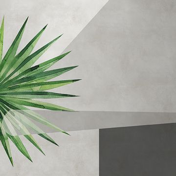 Palm by Adriani e Rossi edizioni