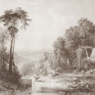 Wallpainting River by Adriani e Rossi edizioni