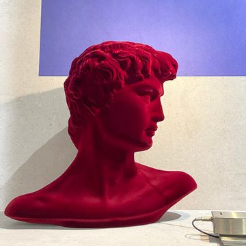 Piccolo David Velvet by Adriani e Rossi edizioni