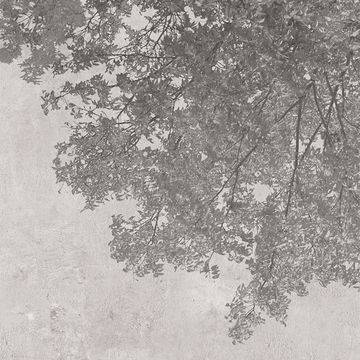 Shades Nature by Adriani e Rossi edizioni