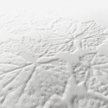 Ivy Leaves – 3D by Adriani e Rossi edizioni - view 2
