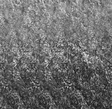 Low Flow by Adriani e Rossi edizioni - view 3