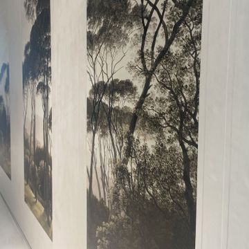 Canova – Tree Color – 3D by Adriani e Rossi edizioni - view 2